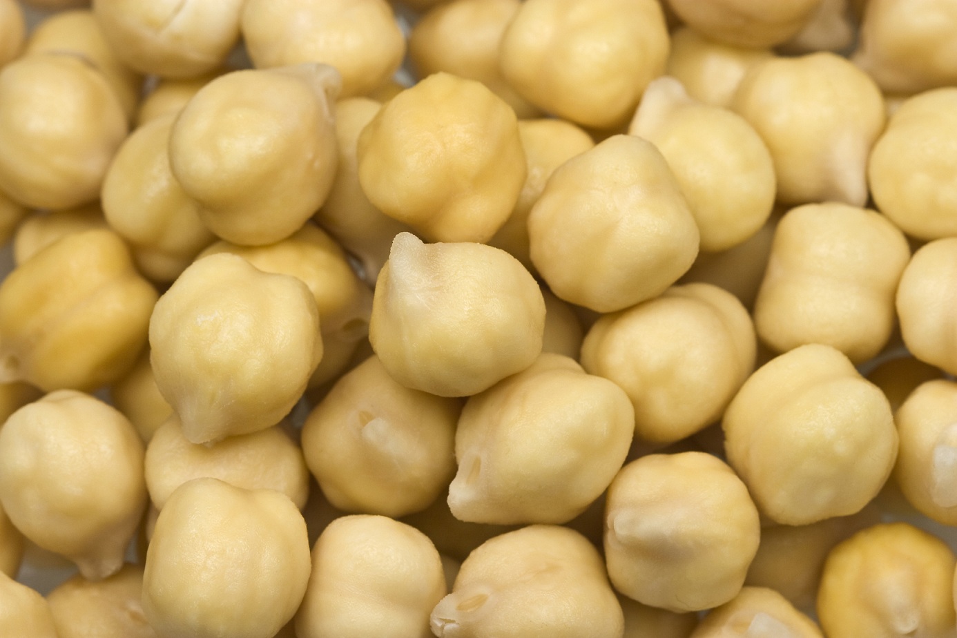 Harira