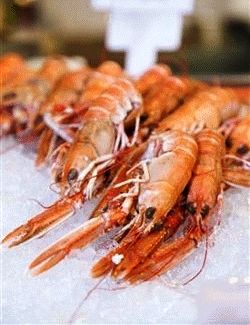 Dublin Bay Prawns with Sea Lettuce Mayo