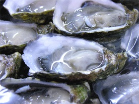 Asian Oysters with Shallot, Ginger and Sesame