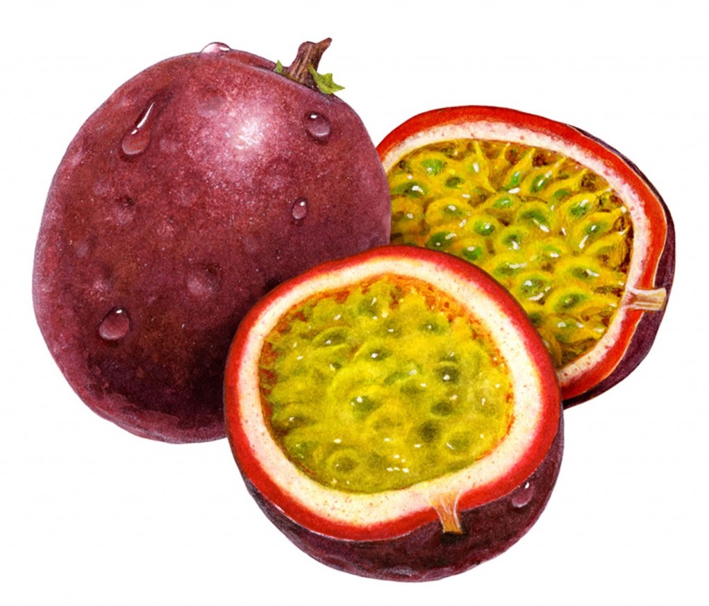 SEARCH AND BUY THIS PRODUCT AT AMAZON.COM lyndeymilan.com – Passionfruit and lime cupcakes