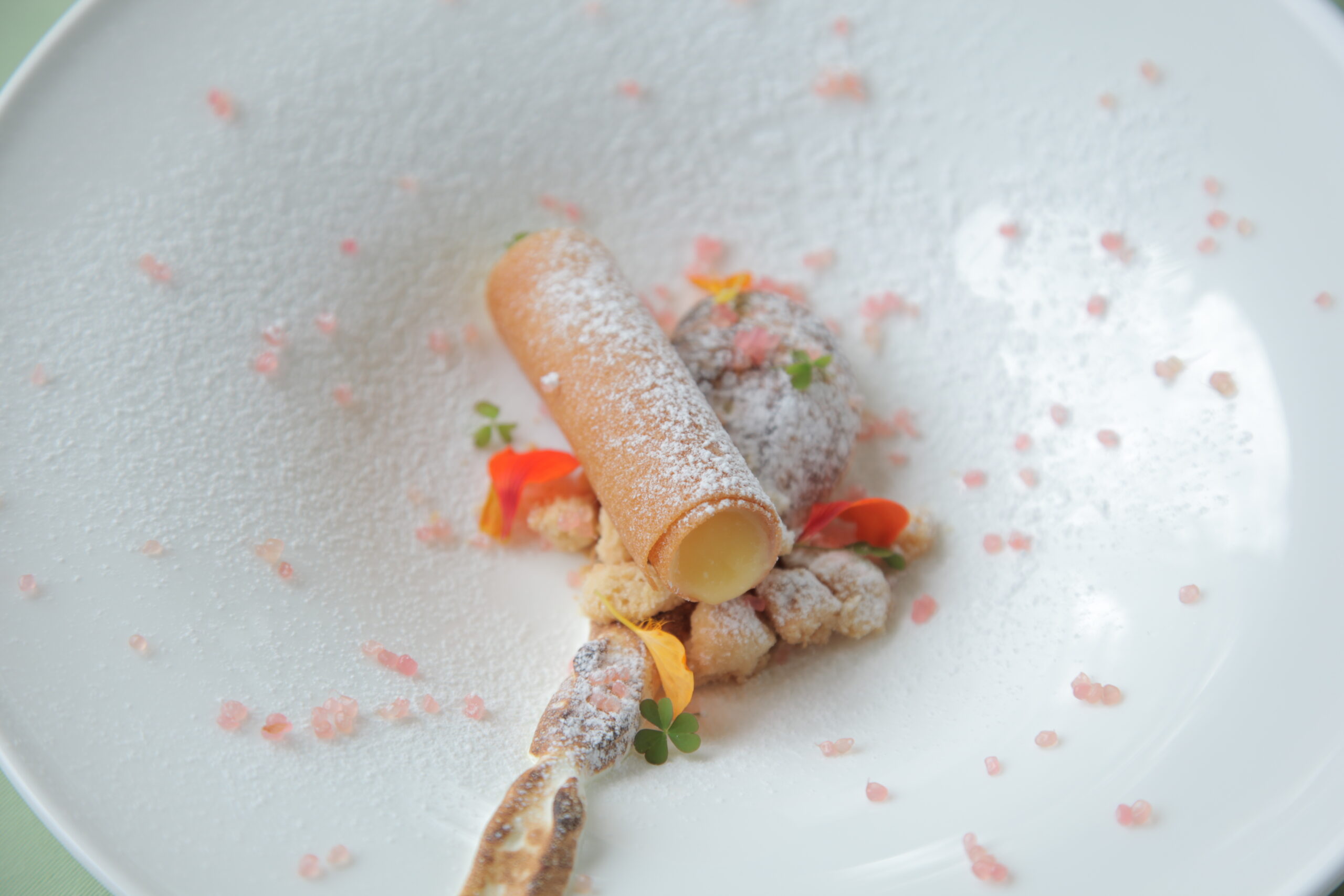 Blood Orange & Lemon Meringue with Finger Lime & Wood Sorrel