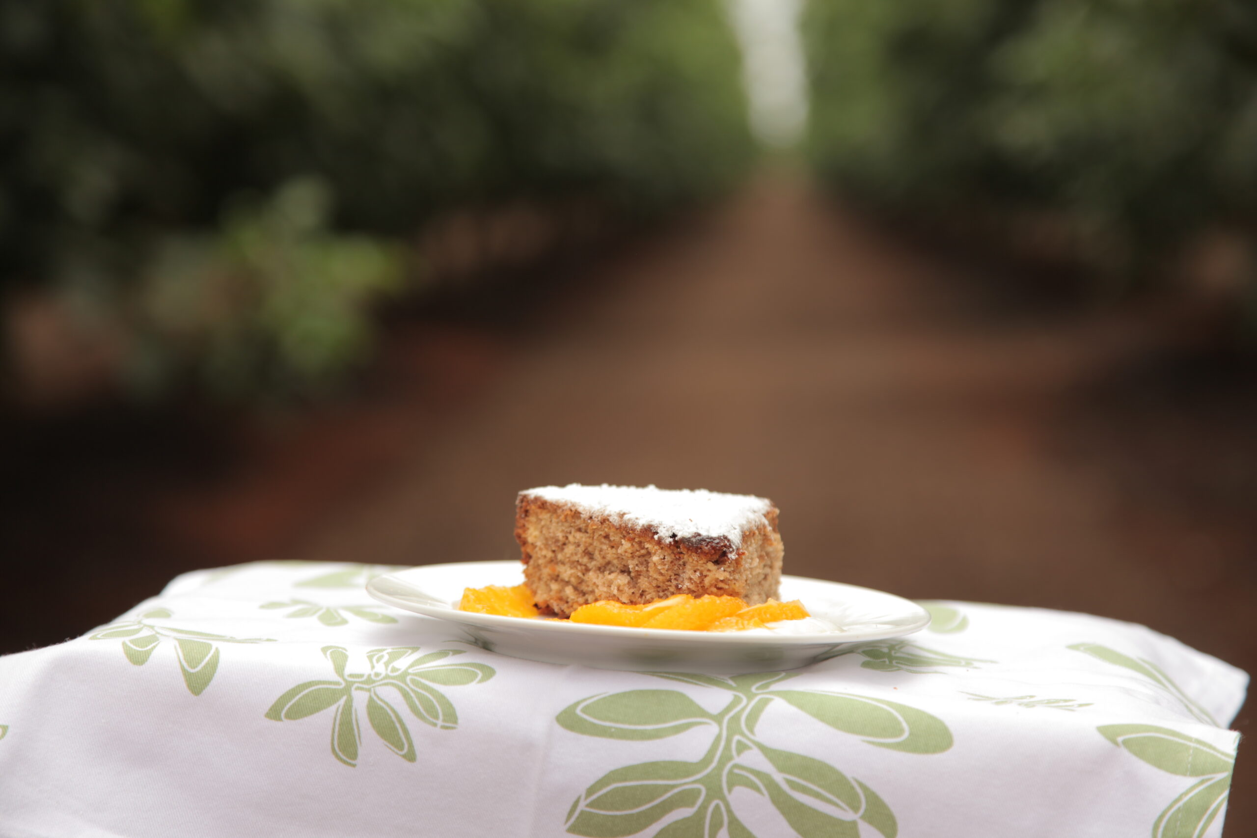 Spiced Orange and Olive Oil Dessert Cake with Botrytis Oranges