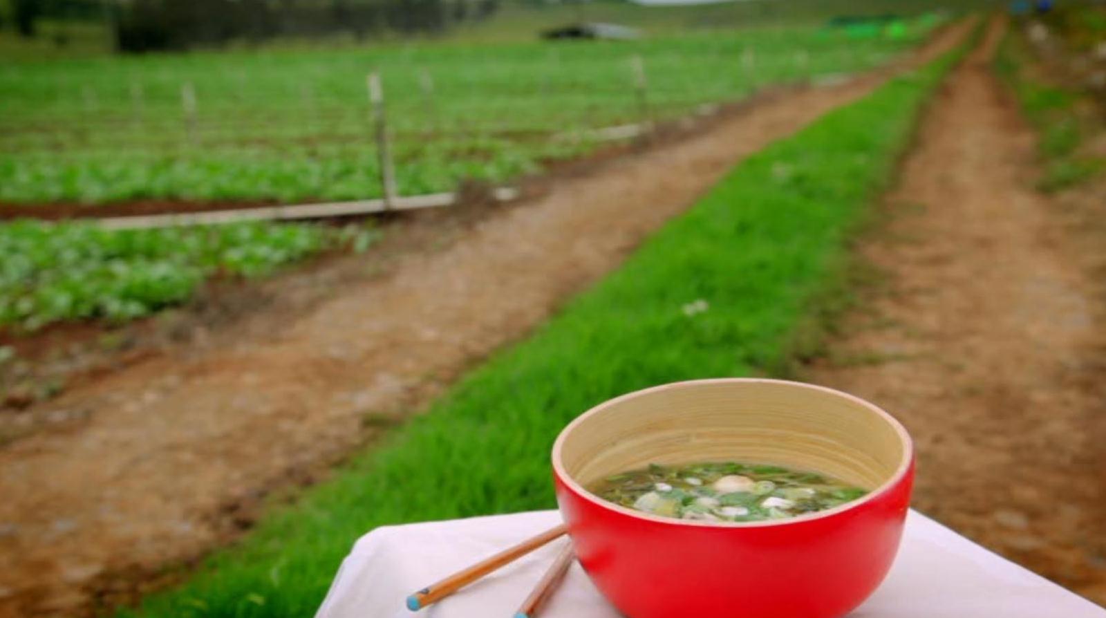 Hot & Sour Soup