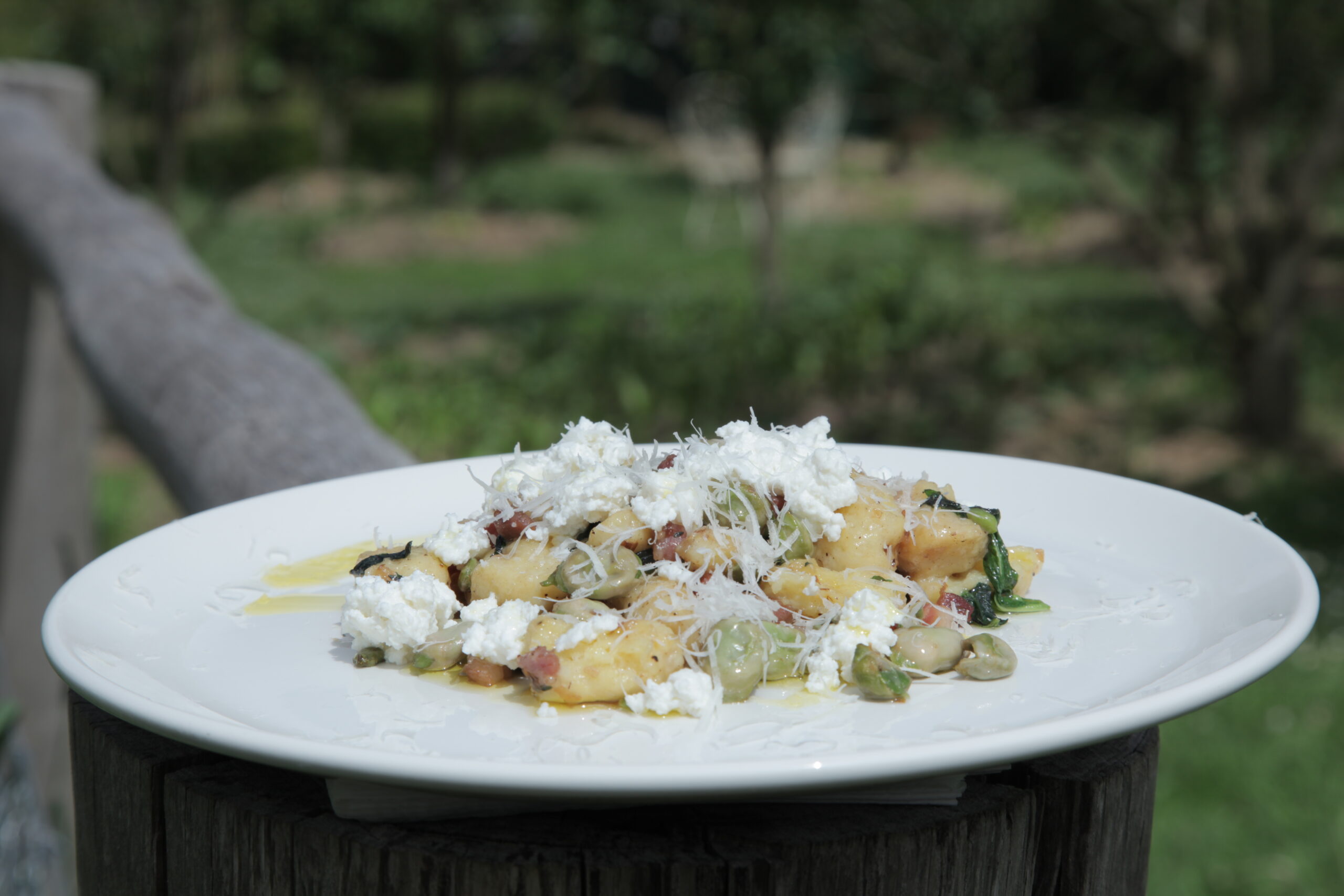 Potato Gnocchi with Smoked Bacon, Broad Beans, Nettles and Ricotta