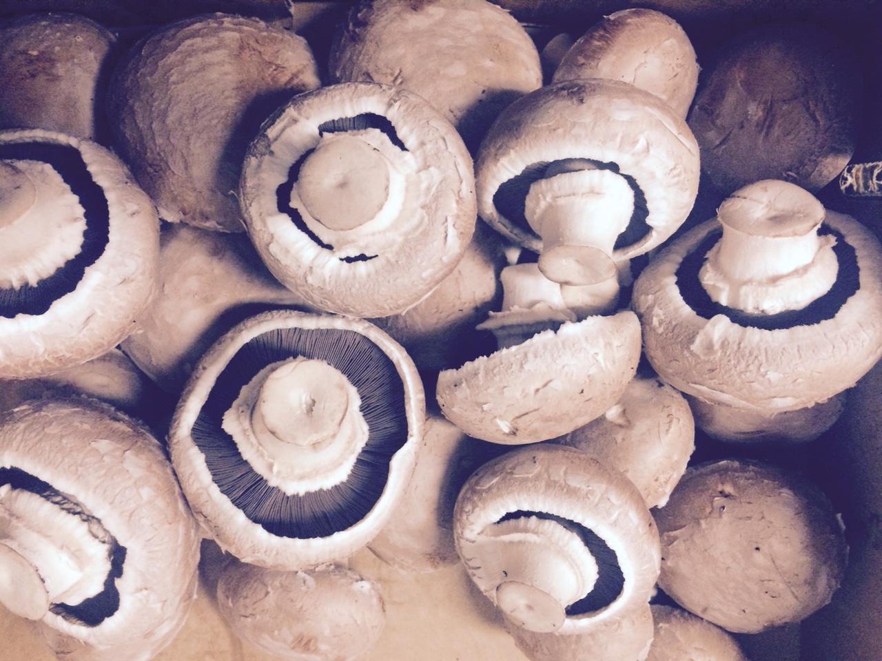 My Ultimate Mushroom Risotto